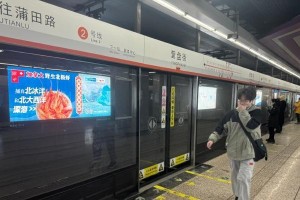 《加拿大地铁游戏攻略》（畅游加拿大地铁，发现城市秘密，打造最佳游戏策略）