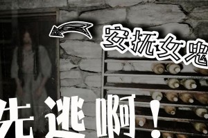 如何玩转安抚游戏（打造完美游戏体验，畅享独自冒险乐趣！）