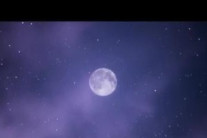 黑色沙漠手游暗影蛇任务消失，玩家遭遇巨大损失（游戏开发者删除了暗影蛇任务，导致大批玩家遭受损失）