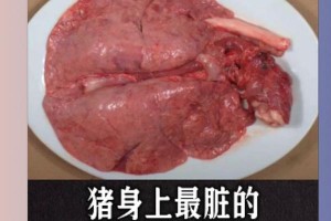 《原神》一猪五吃隐藏成就攻略（如何达成一猪五吃成就？必备技巧大揭秘！）
