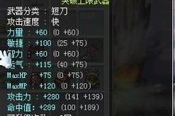 冒险岛双刀大佬出装攻略（探索双刀职业技能与装备选择，助你在冒险岛中称霸无敌！）