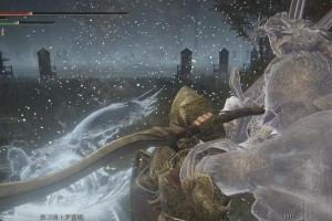 法师对抗禁卫骑士（胜者装备无难求，）