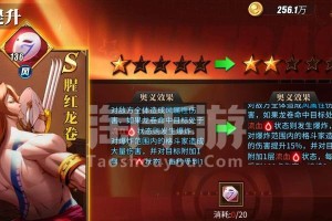 《街霸对决》游戏风队斗魂选手选择指南（选择最强斗魂，征战格斗之巅）