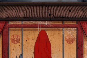 《收纳达人》全关卡攻略（以C位出道，收纳无忧）