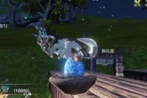 《妄想山海》游戏中鲲第三次怎么进化（探索鲲进化之路，让你的鲲更加强大）