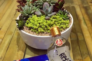 唐伯虎攻略（用美食创造无限可能，攻略唐伯虎合成游戏的关键技巧与心得分享）