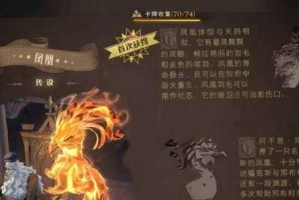 哈利波特（解锁魔法力量，成为真正的魔法师）