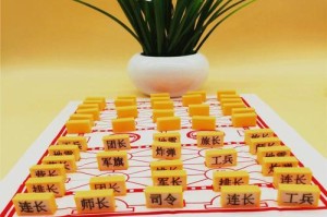 入门棋装备选择攻略（选择合适的棋装备，打造出色棋局）