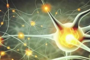 突触网络出装攻略视频教学（提高游戏技巧的窍门）