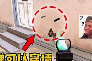 《和平精英》游戏祈愿玩法详解（打造属于你的专属祈愿神器）