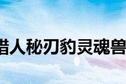 魔兽世界灵魂兽攻略（揭秘灵魂兽的培养、技能与战斗技巧，助你获得最强战力）