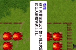 赵云对决姜维出装攻略（无双战神赵云如何应对巧计之士姜维？一招制敌！）