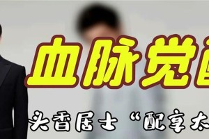 《谁敢惹中国人游戏攻略大揭秘》（探索游戏世界里的中国人独特魅力）