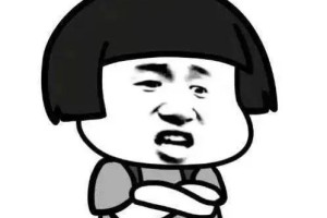 征服野蛮时代（探索资源、建立帝国、战胜竞争对手的必备策略）