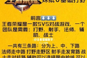 《主宰打野教程出装攻略视频，带你征服召唤峡谷！》（掌握关键装备，成就主宰王者！）