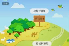 魔兽世界（探索蚂蚁战士的装备选择与技能搭配）