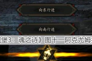 地下城堡3魂之诗的物理队和法师队玩法详解（掌握这些技巧，让你的游戏更出色！）