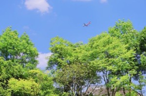 杀死怪蜀黍的攻略（如何击败无敌的怪蜀黍-无懈可击的攻略揭秘）