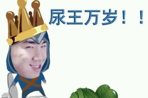 火影忍者手游骚男出装攻略（探索骚男出装搭配，解锁全新战斗风格）