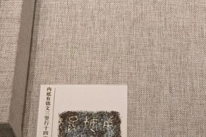 以后裔最新符文出装攻略（提升输出与生存能力，解析以后裔最佳符文搭配方案）