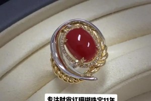 珊瑚宝石出装攻略大全（提升装备效益，打造无敌珊瑚宝石战队）