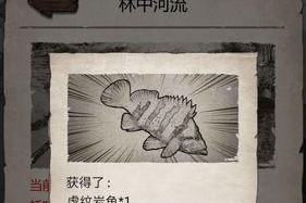 荒野求生攻略（掌握生存技能，成为荒野求生高手！）