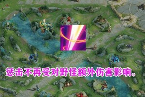 王者荣耀S23资源包升级失败解决方法（避免游戏卡顿，让你畅玩不卡顿）